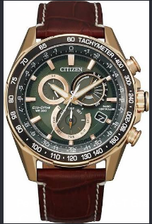Citizen Promaster Land GMT Burgundy Dial Eco-Drive Men's Watch (Model: BJ7140-53X)
